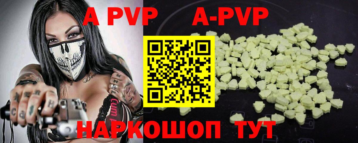 A PVP СК КРИС Псков